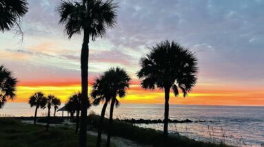 Some good videos from Heartfulness YouTube The Journey 52a