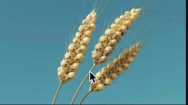 Well Here we Go Again