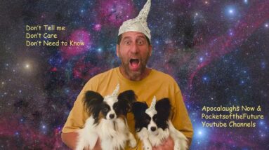 Don't Mirror my Videos