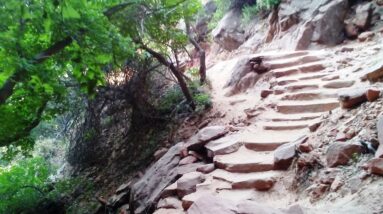 Heartfulness Climate Change Yoga Day Fail The Journey 63