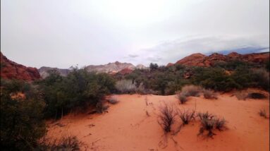 Heartfulness mediations nightly June 1 2022