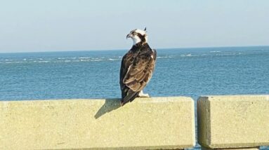 Heartfulness & taking away someone's Faith The Journey 60