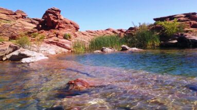 How SCOTUS $crewded the Republicans on Roe