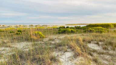 Reconciling the Heartfulness Organization failure & Hypocrisy the Journey part 58