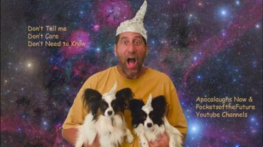 Ok Pockets of the Future & Apocalaughs Now Merch is Finally Here