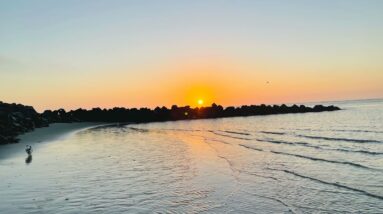 The Journey Part 55 Why Associating with the RSS makes Heartfulness Brand a Joke