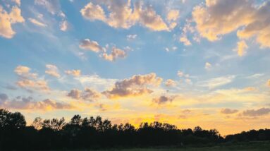 Bizarre 4th of July Hearfulness Event Daaji triples down on Brighter Minds + the Journey 65