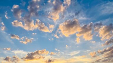 Heartfulness Org not living the Dogma The Journey 67