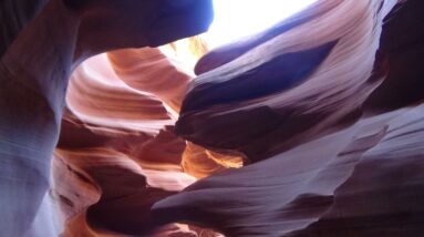 How the Cult og Daaji is ruining Heartfulness Org the Journey 71