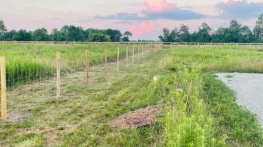 This what I believe to be the cause of Heartfulness org & Daaji Failure The Journey 69