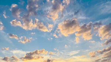 What the heartfulness organization drama really means The Journey 66