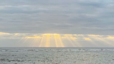 Why daaji or fraudaji disrespected Master Chariji & Ruined Heartfulness