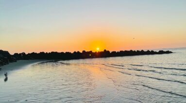 My Message for Daaji & Abhyasis regarding my Journey Series Videos