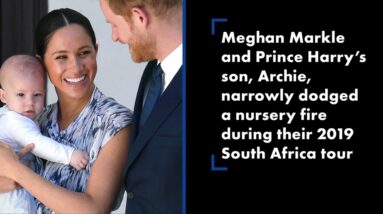 Tom Hanks a GiPed0 in Pinocchio + The Donald Zuckerberg Joe Rogan & Megan Markle