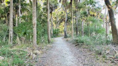 Sent the voiceovers to Daaji