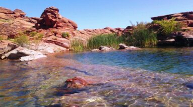 Where we would be without Greed & selfishness.