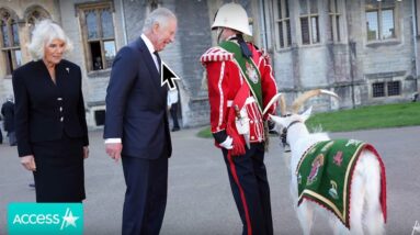 Finally the Queen's Corpseathon is over King Chucky Weeps + JoJo Magoo