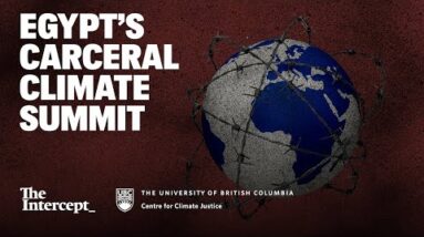 Livestream: Egypt’s Carceral Climate Summit