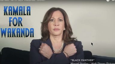 Trumpty dumpty & how the Republican establishment took him Down