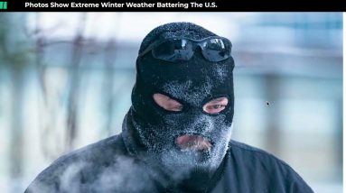 My Christmas Miracle & Chuck Qbie Predictive P