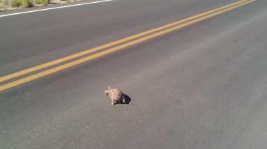 all my short videos were removed so I need to re uplaod them today