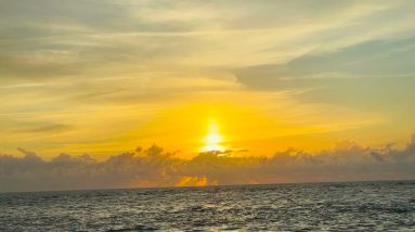 Sunday Group Meditation