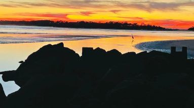 Feedback for Gratefullness Meditation 3 19 2023 Plus a Masterless System