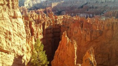 Gratefullness mediation Restlessness & Bliss