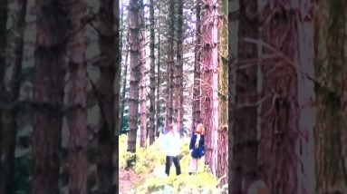 1975 film roller ball predicted we would loose our freedoms for this reason in 2018