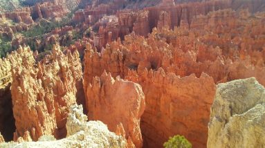 Reminder for Gratefullness Mediation Sunday March 19 2023