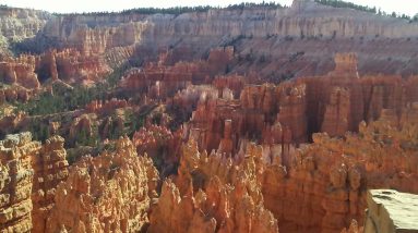 Feedback for Gratefulness mediation Sunday March 26 2003 Please like vid only if you meditated