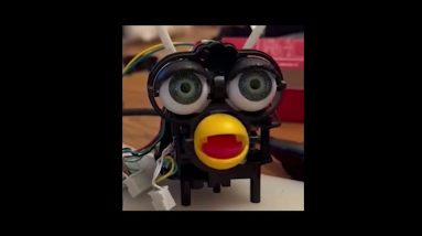 AI fubies will never be able to take over the world