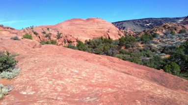 The Best time to try Gratefulllnes is the coming weekend April 30th 2023