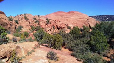 Feedback for Gratefullnes meditation Sunday April 23 2023