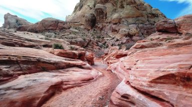 Feedback for Gratefullness Mediation for Sunday April 2 2023