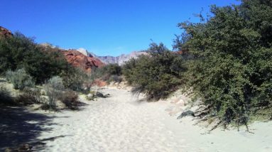 Reminder for Gratefullness meditation every Friday night at 9pm