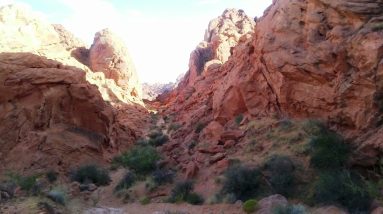 Reminder for group Gratefullness group mediation Sunday April 2 2023