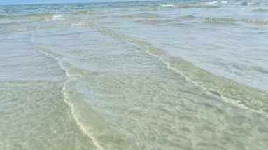 Upcoming Gratefullness Meditation Event Babuji's Birthday Celebration