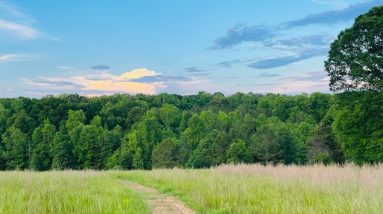 Health Update & Gratefullness Check in