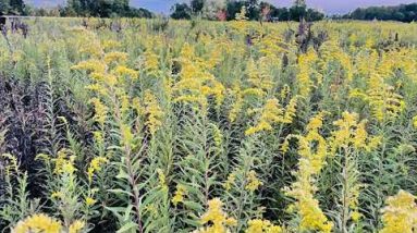 Journey 122 (this one)