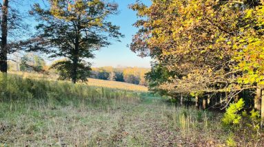 Journey 133 (Maxim 7)