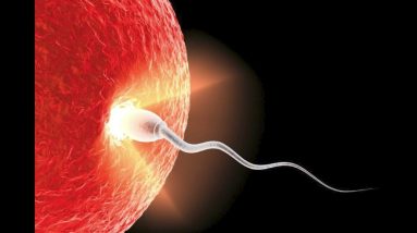 The Hypocrisy of the Pro Life Movement