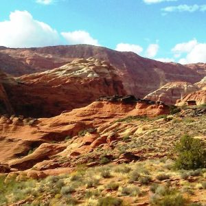 Because the Gatekeepers have Closed the Gate