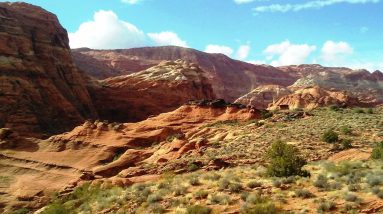 Because the Gatekeepers have Closed the Gate