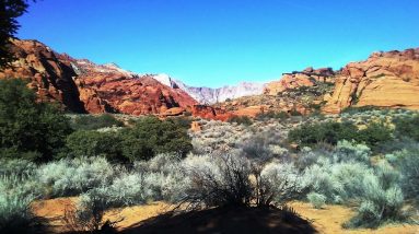 Ode to Pockets of the Future