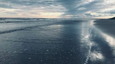 People don't know what is good for the  Pockets of the Future