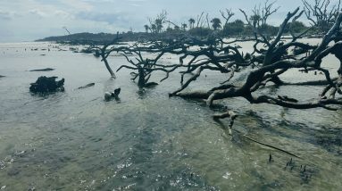 The Problem with Pockets of the Future is People here is an example