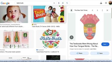 Why the boop didn't anybody tell me about the Umami taste bud