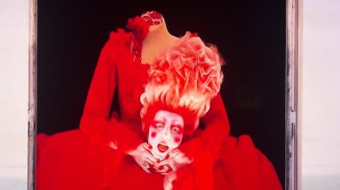 Kamala Kneepads Insurance Policy Harris  If U  like her U don't know her  + Olympic Apocalaughs