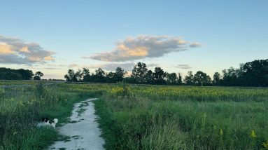 The Simply Solution to the Problem of Humanity